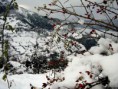 /album/cide-fotoraflar%c4%b1/wowdilek-cide1213-jpg/